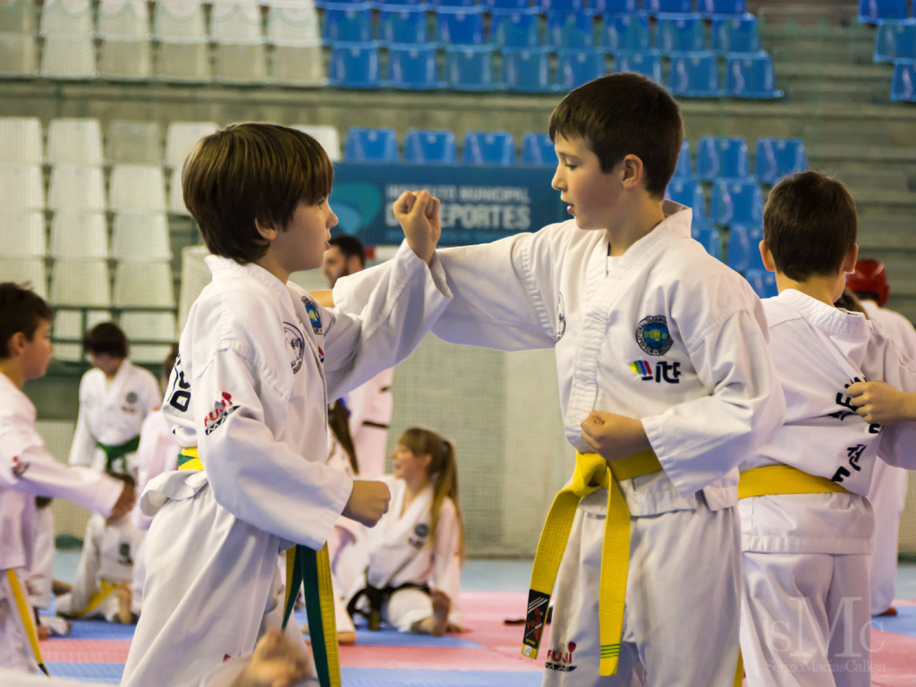 DIA DEL TAEKWONDO ABRIL 2017_3882.JPG